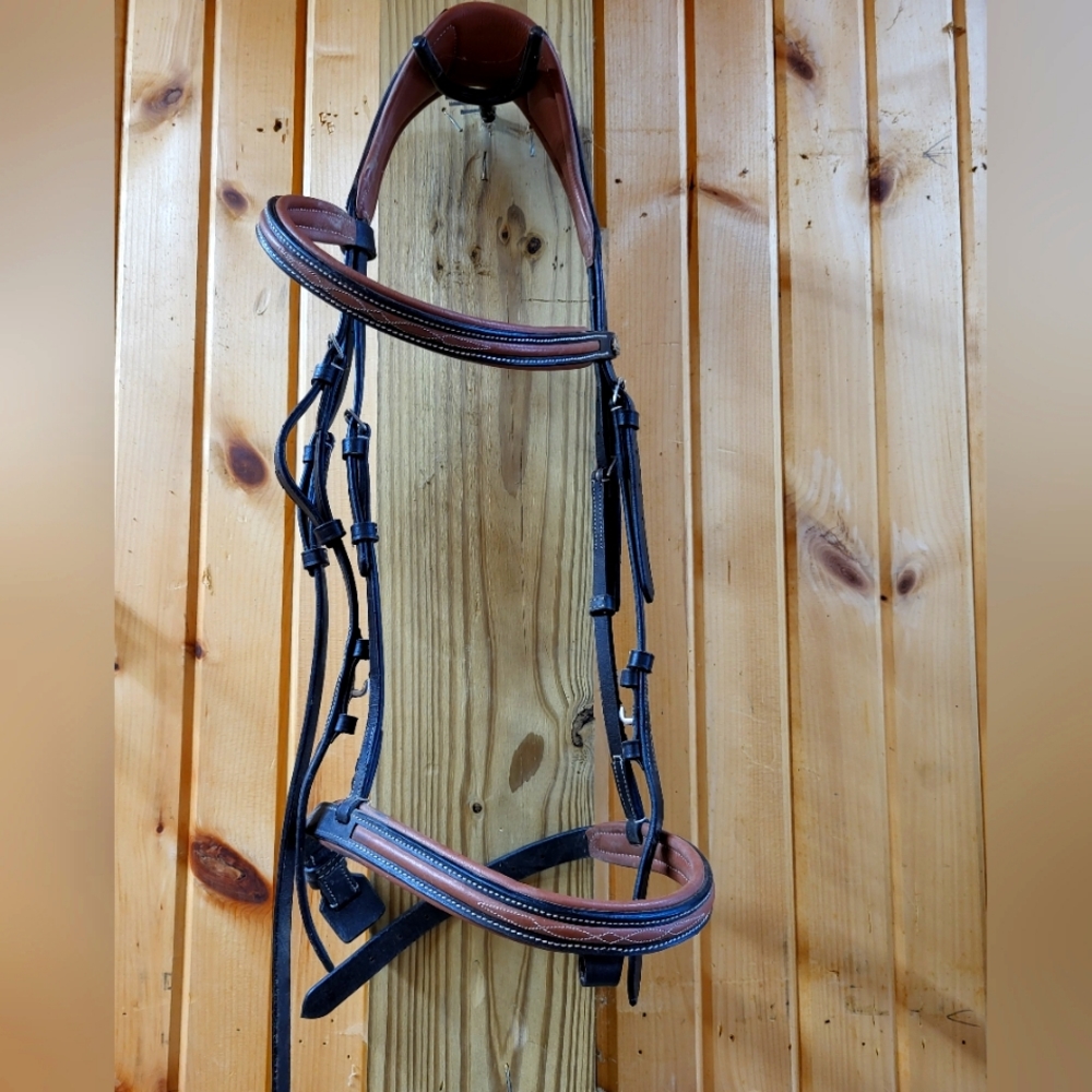 dressage bridle